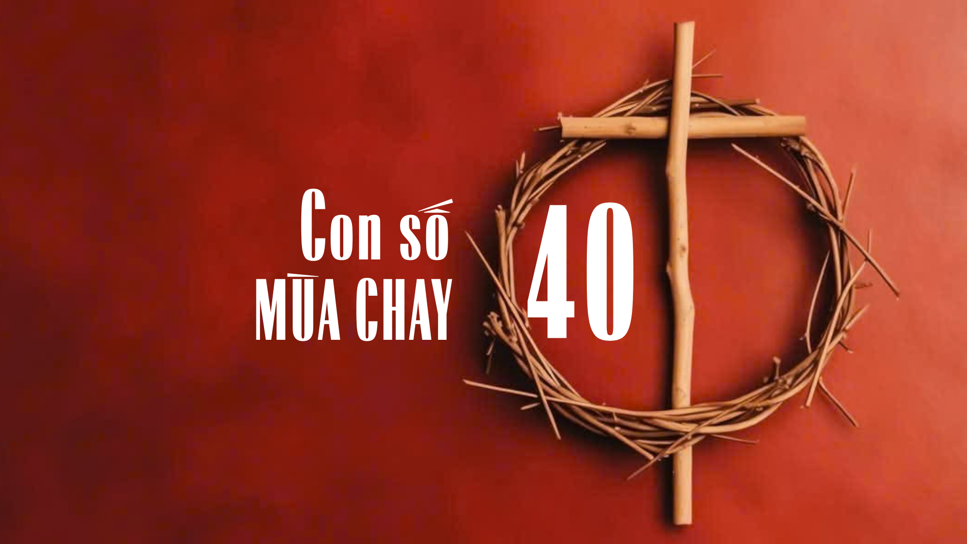 Con số 40 của Mùa Chay